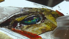 stained-glass-glass-eye-620.jpg