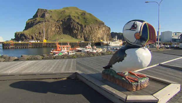 puffins-statue-on-the-island-of-heimaey-620.jpg 