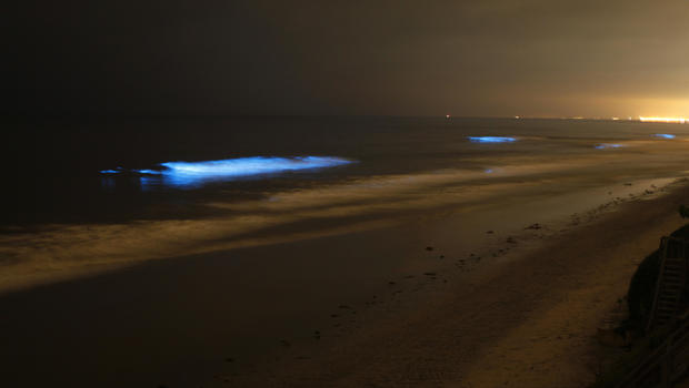 Red Tide in California Lights Up Night Surf a Glowing Blue