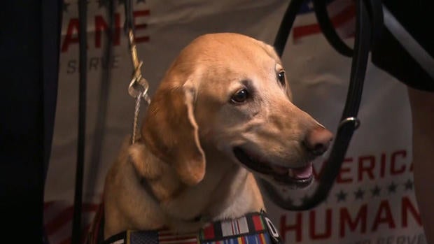 reid-k9-medal-of-courage-3-2018-05-22.jpg