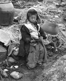 Korean War Orphan 1951