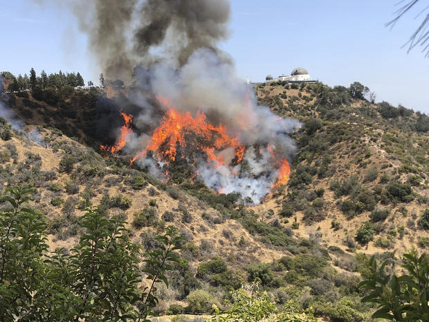 Los Angeles Wildfire 