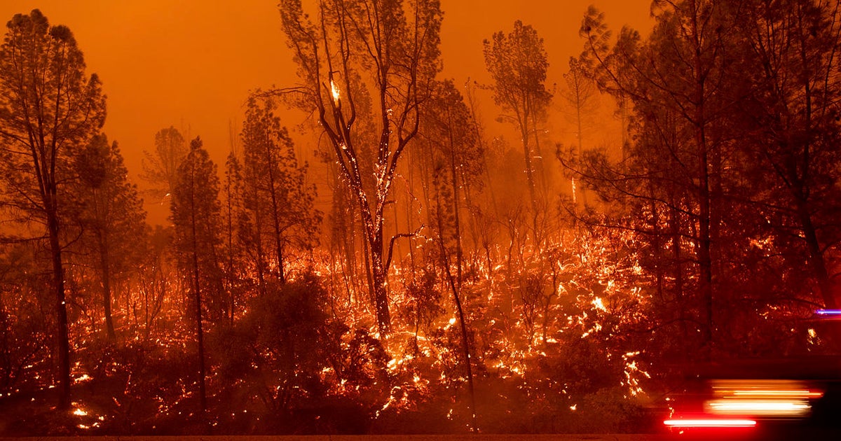 Image result for california's deadly carr wildfire  map