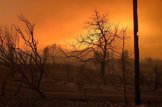 A blackened landscape is shown from wildfire damage near Keswick, California 