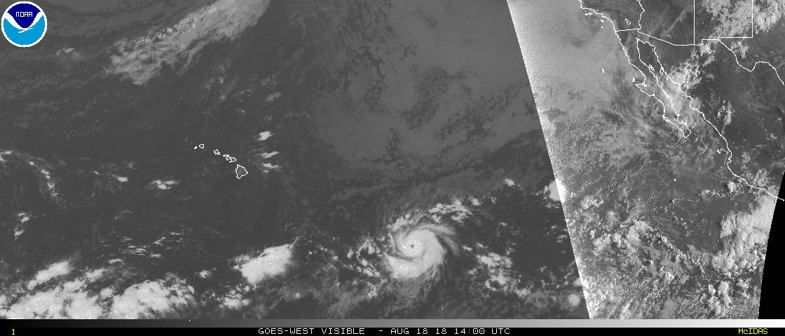 hurricane-lane-2018-08-18.gif 