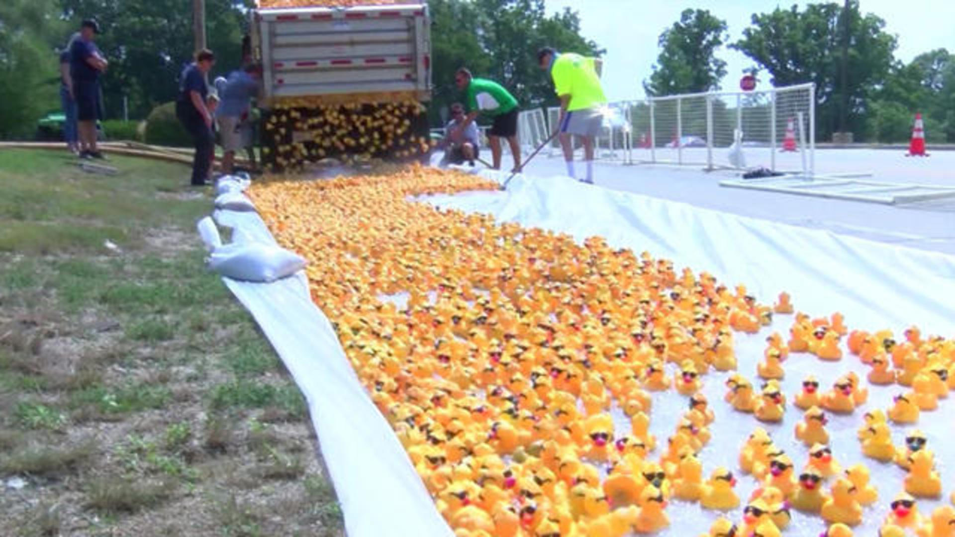 Einde Delegatie vrijwilliger Rubber ducky race for a cause - CBS News