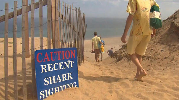 Shark-sighting-sign-Truro 