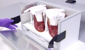 Stolen ruby slippers from "Wizard of Oz" found years later 