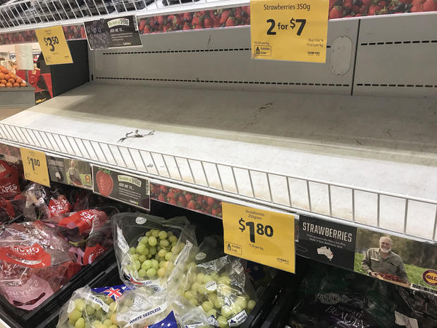 Empty shelves, normally stocked with strawberry punnets, are seen at a Coles Supermarket in Brisbane 