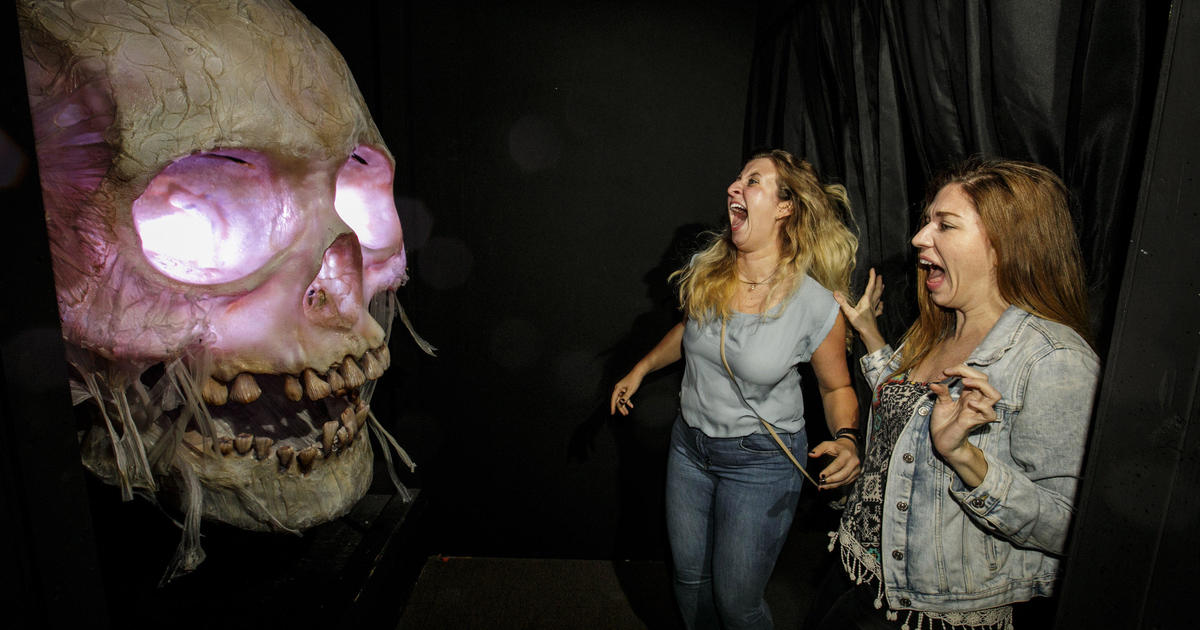 Terrified Reactions At Haunted Houses Cbs News