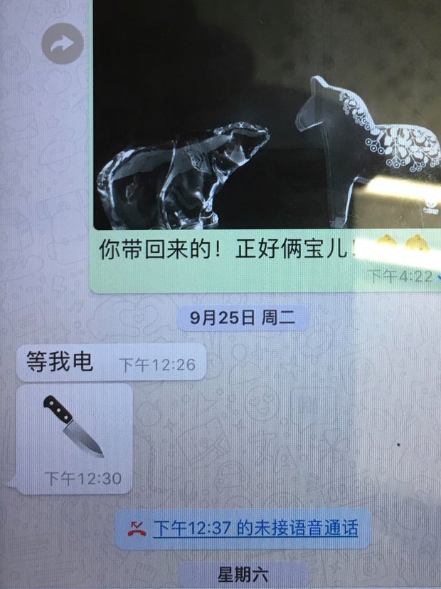 Meng Hongwei text message
