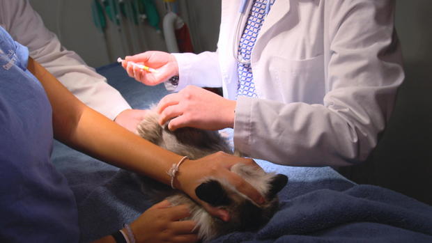 ctm-1010-worcester-tech-vet.jpg