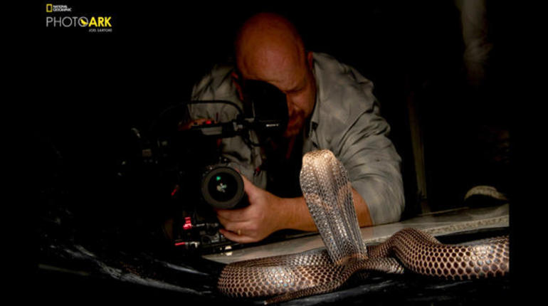 Snake bites cameraman: 60 Minutes cameraman talks about getting bitten ...