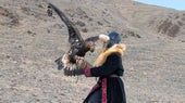 mongolianeaglehuntingtease0.jpg