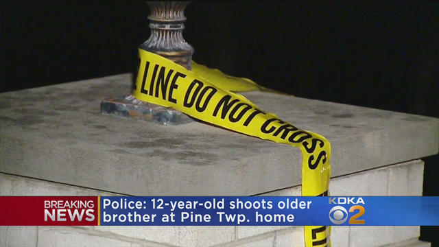 Pine-Township-Teen-Shot-By-Brother.jpg 
