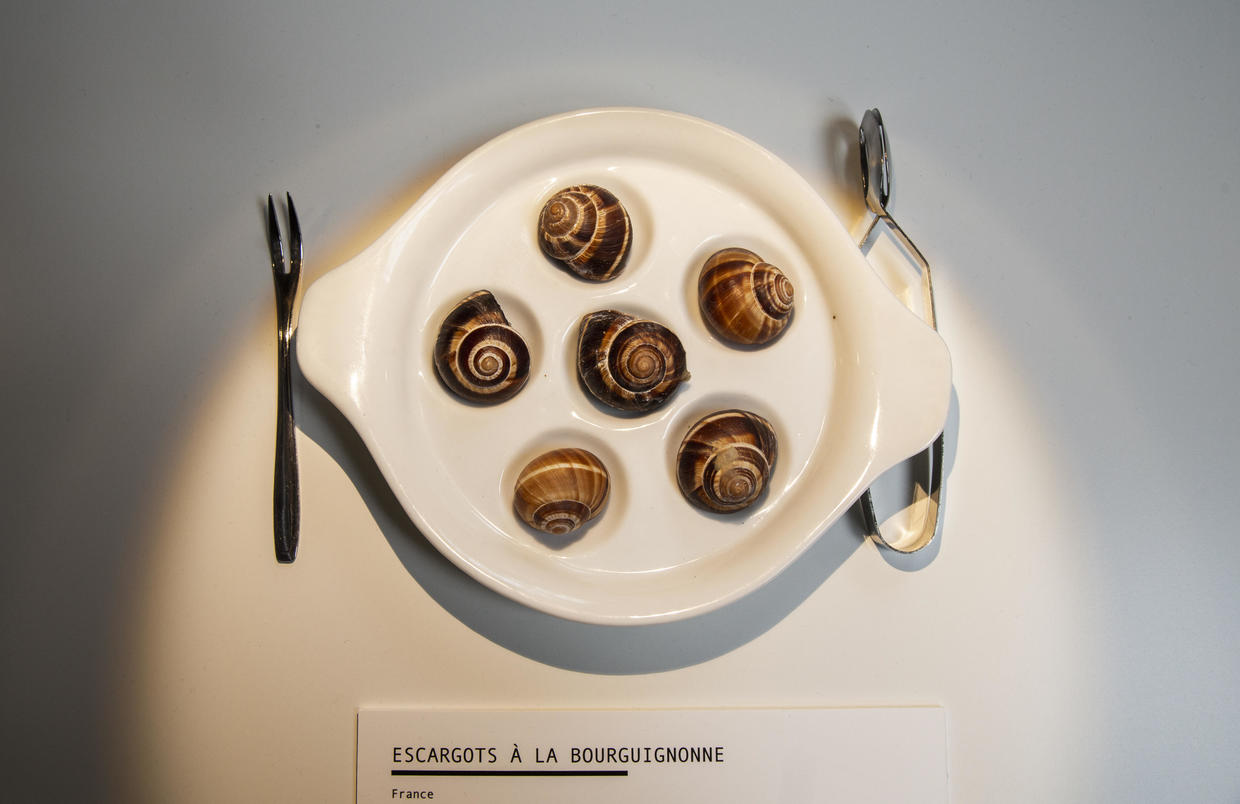 Escargot Disgusting Food Museum Photos Of The Most Disgusting Food In The World Warning