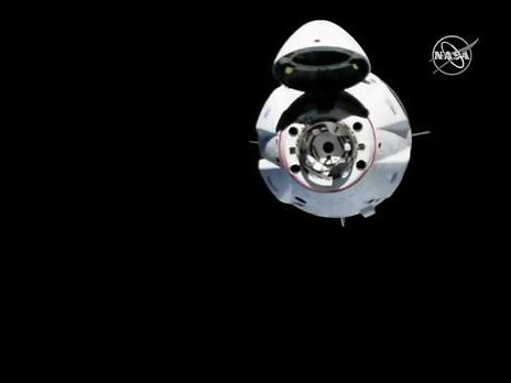 Rare 7-foot sea creature hoodwinker sunfish washes ashore in Southern