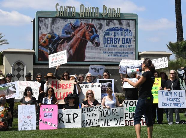 Death of Santa Anita horse racing 