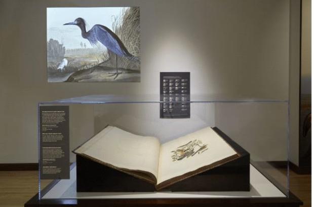 Bird Book_Field Museum 