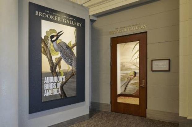 Audubon Exhibit 
