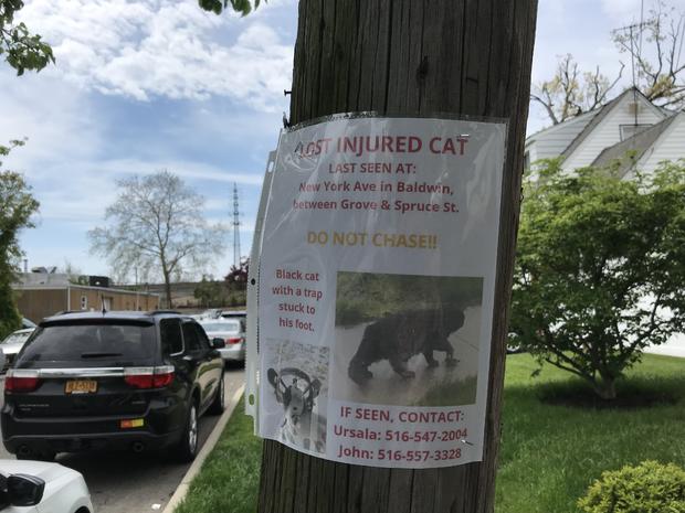 Animal Trap Found In Baldwin 