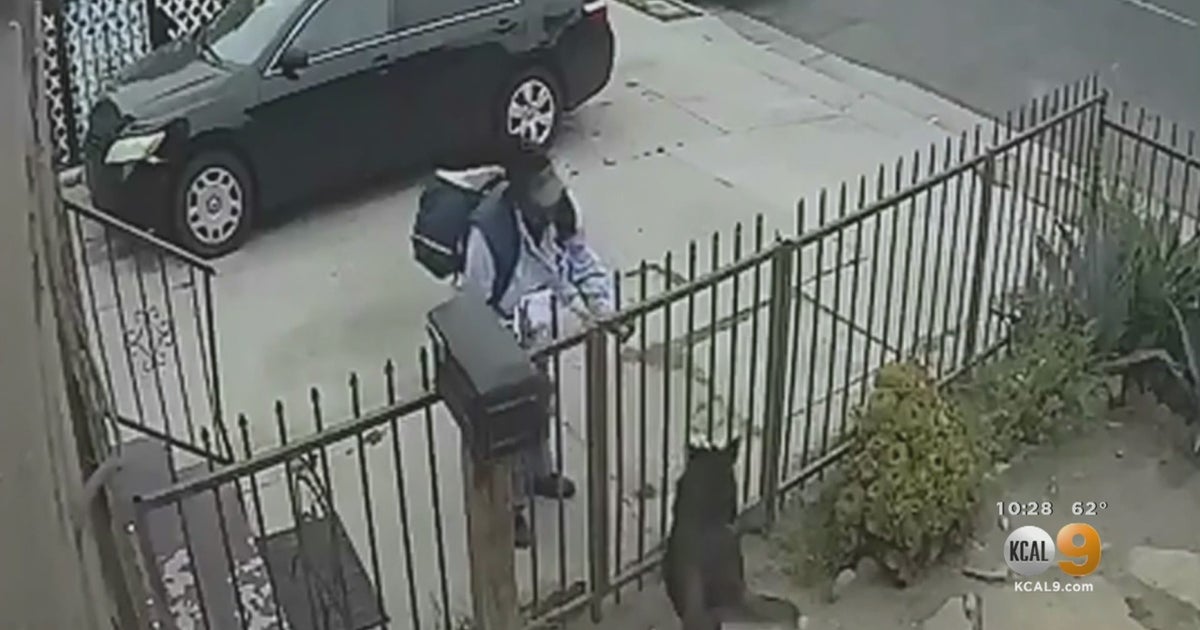 VIDEO Home Security Camera Catches Mail Carrier PepperSpraying Dog In