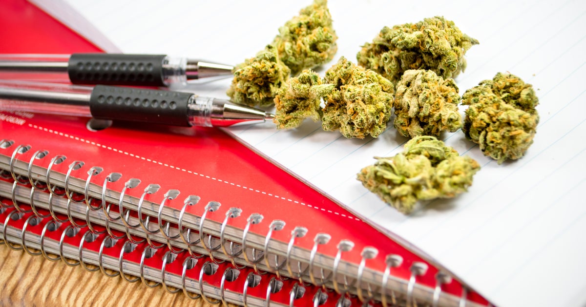 At some colleges, marijuana studies are blooming