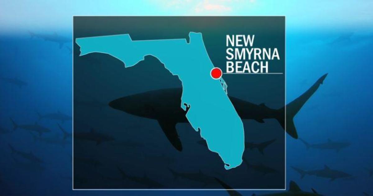 Florida Shark Attacks 3 People Bitten Shark Attacks At New Smyrda Beach Within 24 Hours Or Each Other Cbs News