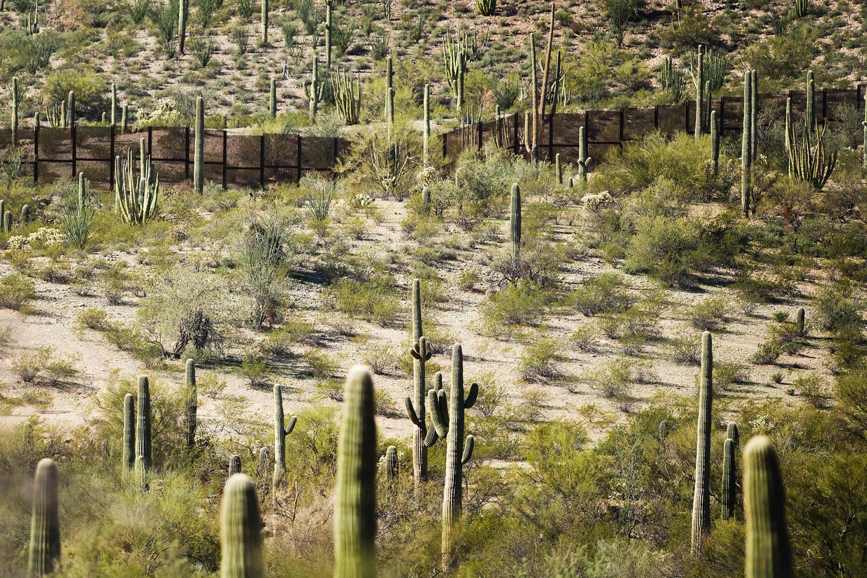 Trump border wall Construction begins on 30foot barrier in Organ Pipe Cactus National Monument
