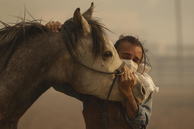 Fabio Losurdo comforts his horse, Smarty, at a ranch in Simi Valley, California, October. 30, 2019. 