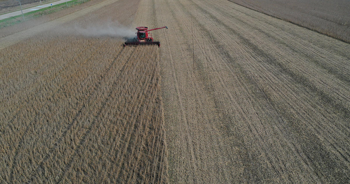 Can farmers sow their way out of climate change? - CBS News