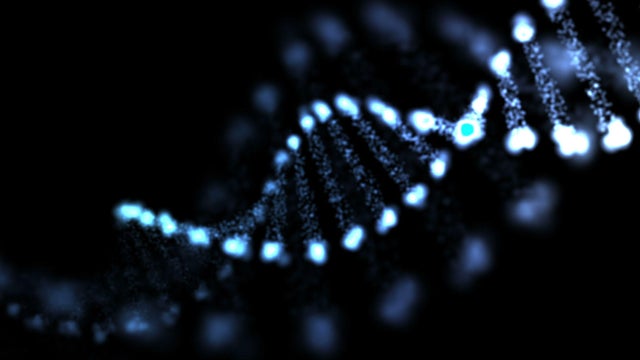 dna-strand.jpg