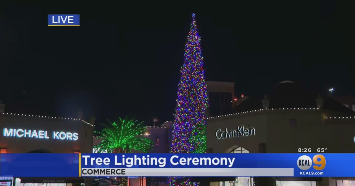 The World's Tallest LiveCut Christmas Tree Lights Up At Citadel