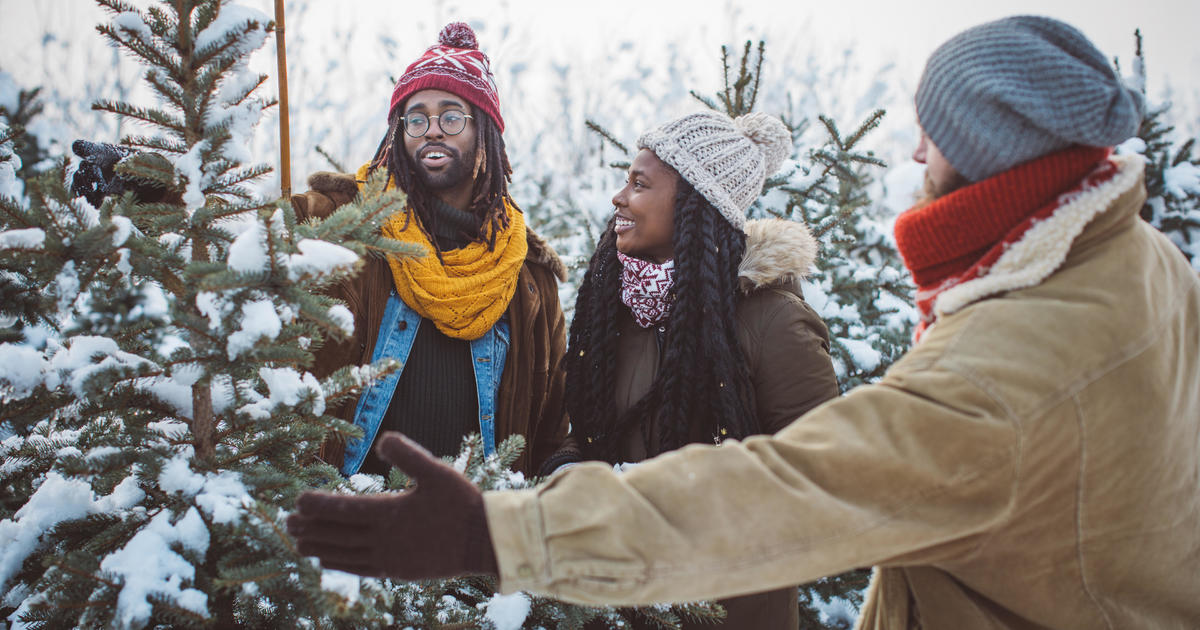 Best Day To Buy A Real Christmas Tree Black Friday Weekend For Best Pickings Less So For Best Prices Cbs News