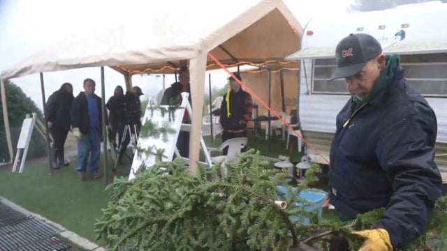 christmas-tree.jpg