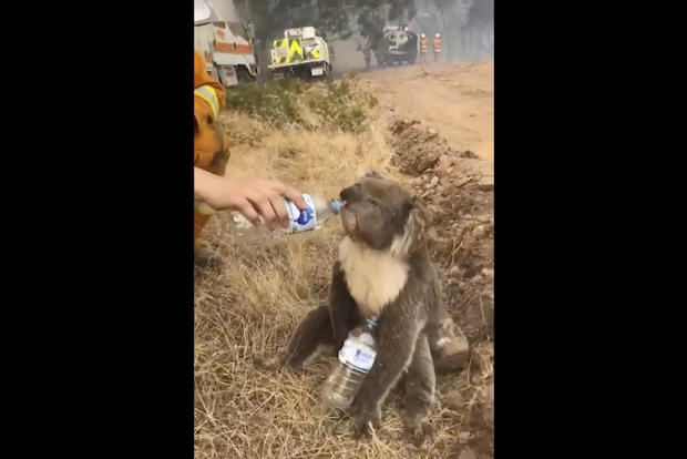 Australia Wildfires 