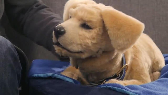 tombot robot dog price