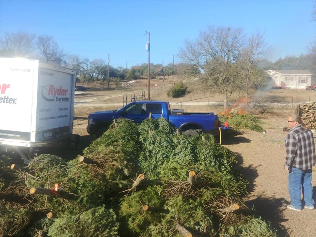 Canes for Veterans: Texas uses Christmas trees to make free walking