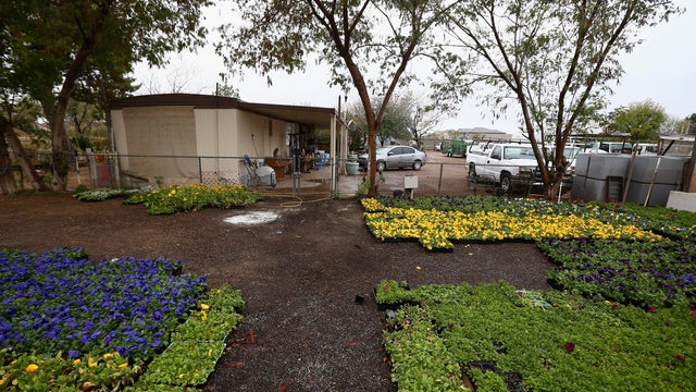 Child Deaths Phoenix 