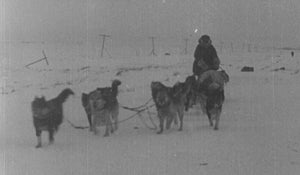 Balto's life-saving race 