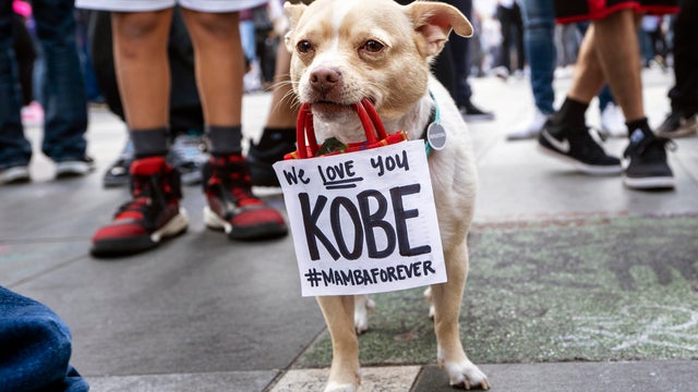 Kobe Bryant Fans Pay Respect in Los Angeles, US 