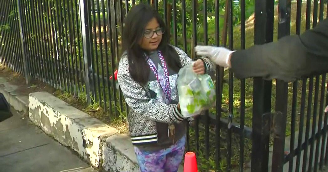 Coronavirus LAUSD To Offer GrabAndGo Meals Instead Of Opening Family