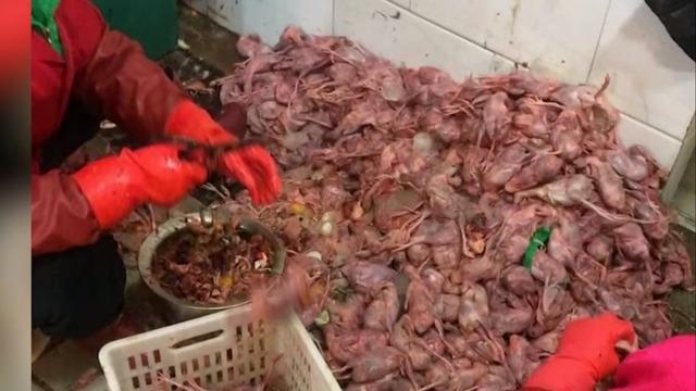 China Reclassifies Dogs As Pets Not Livestock In Wake Of The Coronavirus Cbs News