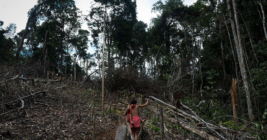 15-year-old boy from Amazon tribe dies of coronavirus