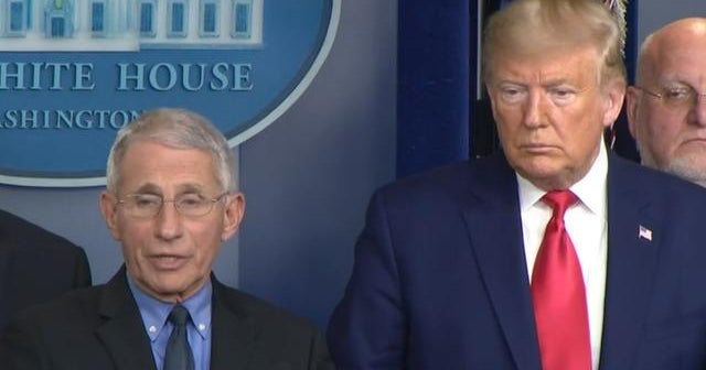 Dr. Fauci says earlier coronavirus response could have saved lives