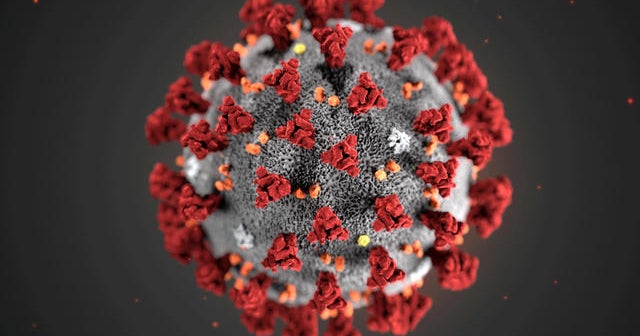 Coronavirus cases and hospitalizations rise weeks after Memorial Day