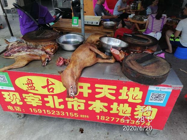 dog-meat-china-yulin.jpg 