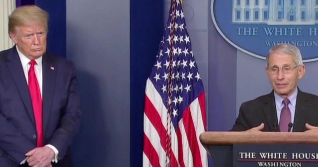 Trump and Fauci speak for first time in nearly 2 months
