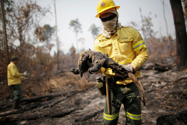 Brazil S Jair Bolsanaro Calls New Amazon Fires A Lie As Videos Show The Rainforest Burning Cbs News