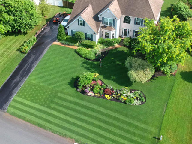 Maintaining A Perfect Lawn In A World Turned Upside Down Cbs News